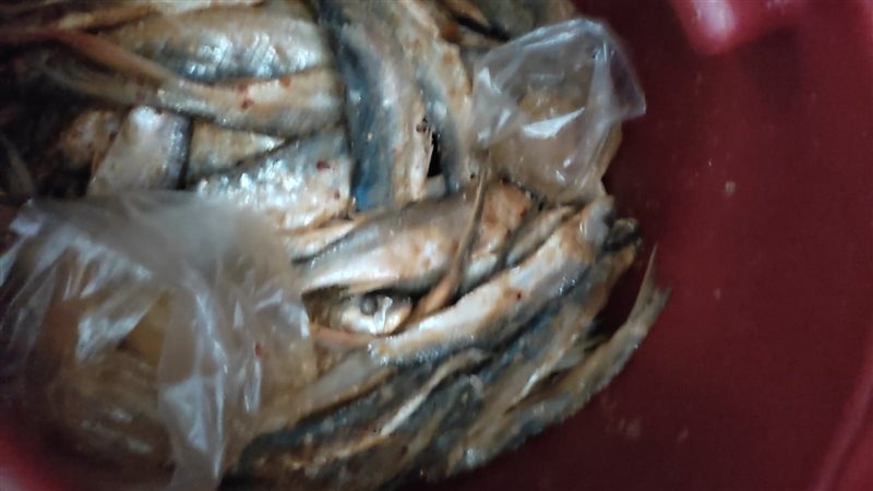 ضبط اسماك مملحة فاسدة