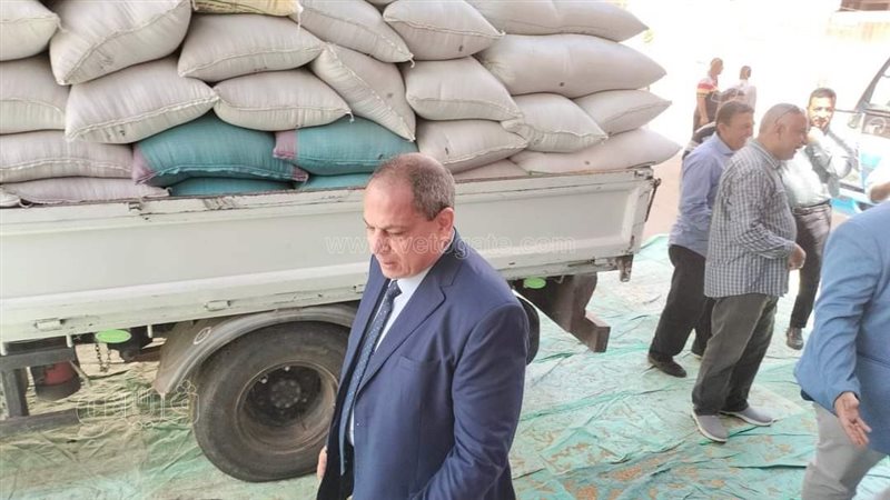 توريد القمح في المنيا