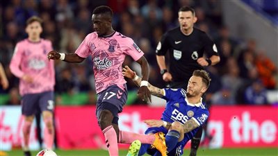 الدوري الإنجليزي، ليستر سيتي يتعادل 2-2 مع إيفرتون في صراع الهبوط