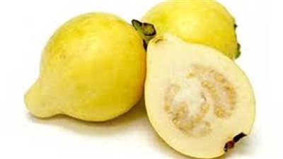 فوائد الجوافة، تحتوى على فيتامين سي أضعاف الموجود فى الموالح