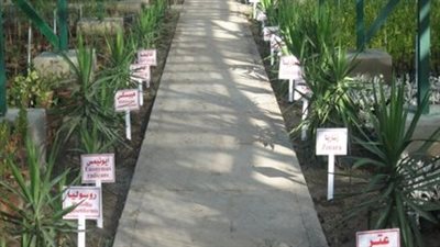 البيئة تستعرض جهود تنفيذ أنشطة التشجير على مستوى الجمهورية لعام 2022