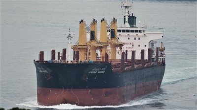 تداول 42 ألف طن بضائع عامة ومتنوعة بموانئ البحر الأحمر 