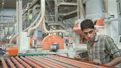 خبير اقتصادي: نحتاج إلى 126 مليار دولار سنويًا لفاتورة الاستيراد وسداد الديون 