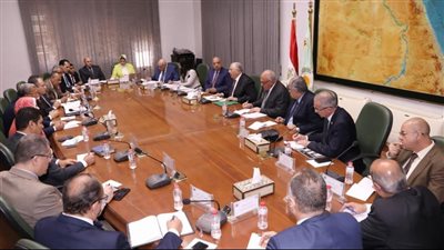 وزيرا الزراعة وقطاع الأعمال يبحثان تنمية إنتاج وصناعة القطن