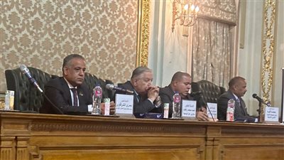 الشرقاوي: العلاقات الاقتصادية المصرية الأفريقية تشهد ازدهارا 