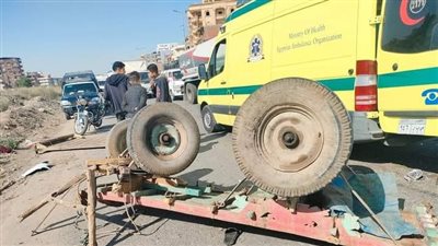 إصابة شخصين ونفوق حصان في تصادم ميكروباص وعربة كارو بالغربية (صور)