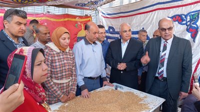 تموين الدقهلية: نستهدف استلام 450 ألف طن قمح خلال الموسم الحالي 