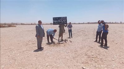 إزالة تعديات على 70 فدانًا من أملاك الدولة بمدينة الزينية بالأقصر 