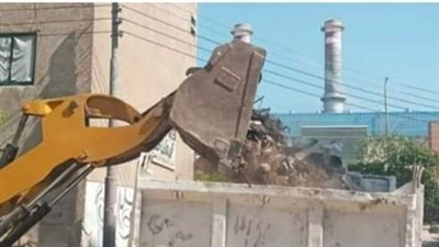 رفع 940 طن قمامة ومخلفات بالبحيرة (صور)