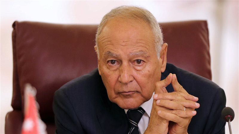 أحمد أبو الغيط،فيتو