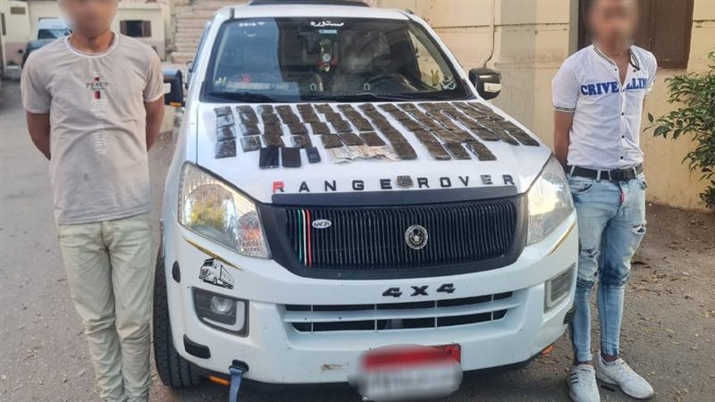 مخدر الحشيش،فيتو