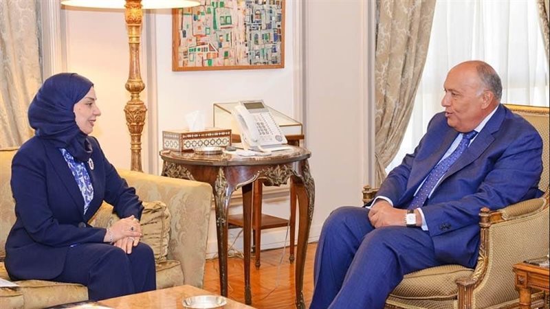 سامح شكرى وزير الخارجية،