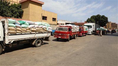 محافظ قنا يستقبل رئيس الإدارة المركزية للتعاون الزراعي لمتابعة توريد القمح 