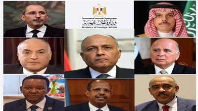 سامح شكري يجري اتصالات هاتفية مع وزراء خارجية 7 دول بشأن السودان