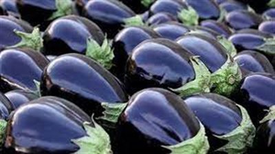 تفسير حلم الباذنجان الأسود في المنام وعلاقته بالحصول على المال وزوال الهموم والأحزان 