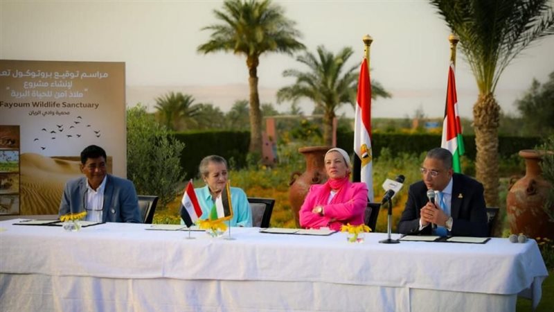 انشاء ملاذ آمن للحياة