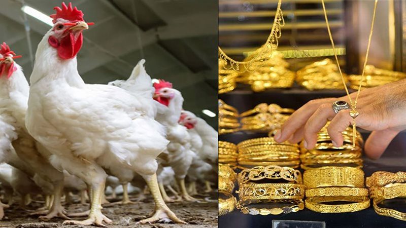 انخفاض الذهب وارتفاع