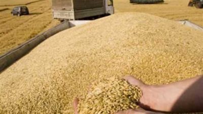 روسيا تعلن البحر الأسود منطقة خطرة ووقف تصدير الحبوب بدءًا من الغد