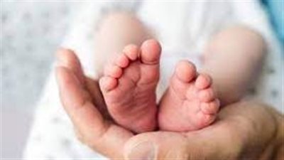 هل يحصل صندوق دعم الأسرة على رسوم عن ولادة الأطفال ؟ 