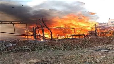 نفوق 10 رؤوس ماشية فى حريق نشب داخل حظيرة بأبو النمرس