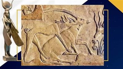 متحف مطار القاهرة يبرز أسباب اهتمام المصري القديم بتربية الكلاب