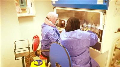 التأمين الصحي بالغربية يجري 600 فحص و38 عملية جراحية