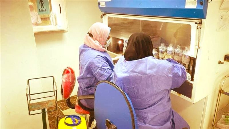 التأمين الصحي بالغربية