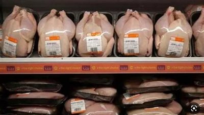 انخفاض أسعار الدواجن البيضاء واستقرار البلدي اليوم