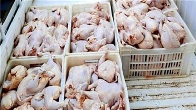 ضبط 4 أطنان دواجن غير صالحة للاستهلاك الآدمي في الدقهلية 