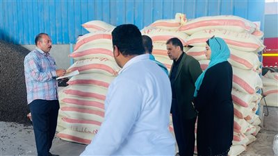 نتائج الحملات التموينية الموسعة في الإسماعيلية