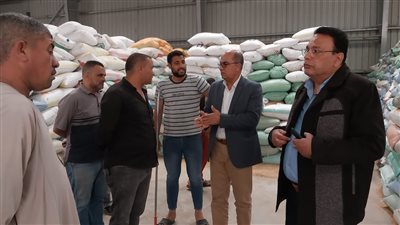 توريد 130 الف طن قمح لصوامع وشون محافظة الدقهلية 