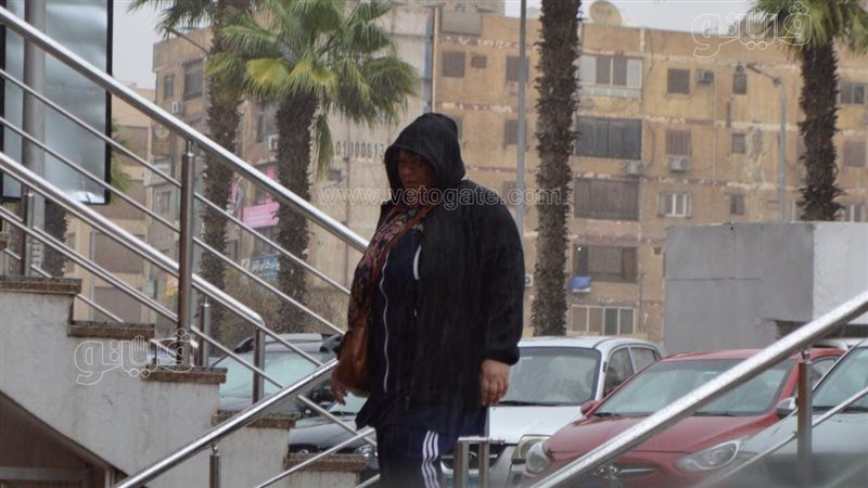 حالة الطقس غدا، فيتو