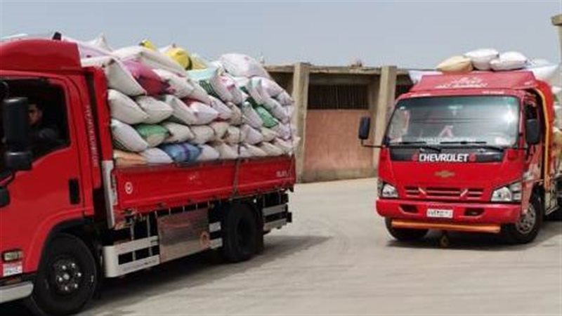 قمح الشرقية:جميع