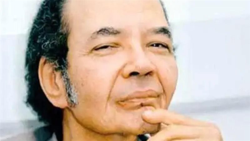 محمد عناني، فيتو