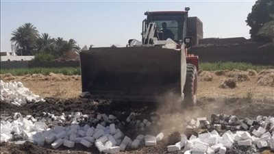 تنفيذ إزالة 7 حالات تعد على الأراضي الزراعية بمركز أرمنت بالأقصر