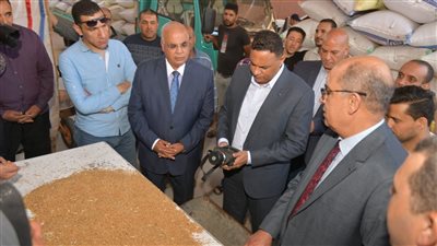  محافظ الدقهلية يتفقد إجراءات تخزين القمح في الصوامع (فيديو وصور) 