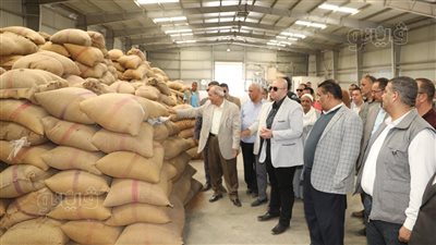 محافظ بني سويف يتفقد أعمال توريد القمح لصوامع إهناسيا الخضراء (صور)