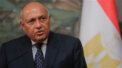 وزير الخارجية: الحرب في السودان تأتي باَثار سلبية على دول الجوار بسبب النزوح (فيديو)