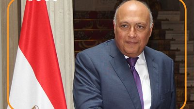  أبرز تصريحات سامح شكري عن عودة سوريا للجامعة العربية (إنفوجراف) 