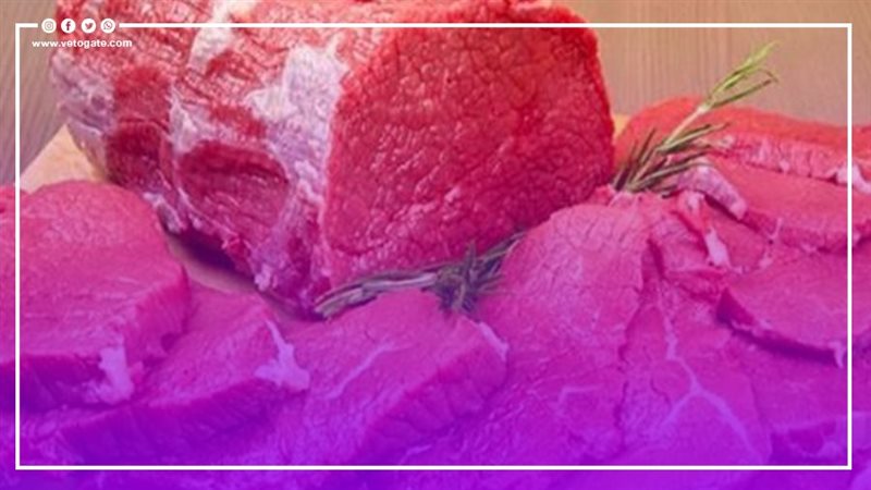 ارتفاع أسعار اللحوم