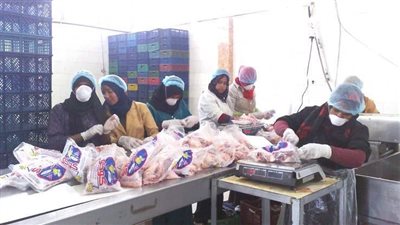 جولة ميدانية بالمنطقة الصناعية بالمنيا لتعزيز علاقات العمل