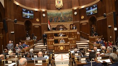 أعضاء الشيوخ يطالبون بزيادة موارد التعليم العالي ووزارة مستقلة للبحث العلمي 