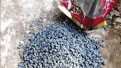 سيدة تتخلص من حياتها بسبب خلافات أسرية في أسيوط