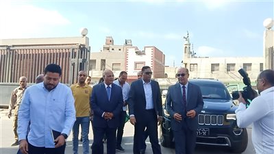 محافظ الدقهلية: الشون والصوامع استقبلت 154 ألف طن (صور)