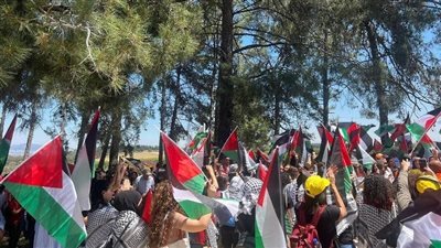 فى ذكرى النكبة، خبير استراتيجى: الفرصة سانحة لإعادة طرح القضية على المجتمع الدولي 