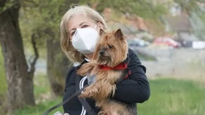 قرار عاجل لمجلس الوزراء بشأن حيازة الحيوانات الخطرة والكلاب 