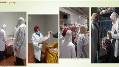 بيطرى الشرقية: ضبط 11 طن لحوم دجاج غير صالح للاستخدام الآدمي