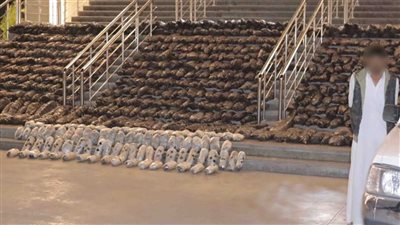 بقيمة 36 مليون جنيه.. حبس تاجر مخدرات بحوزته 3 أطنان بانجو وهيدرو في الإسماعيلية