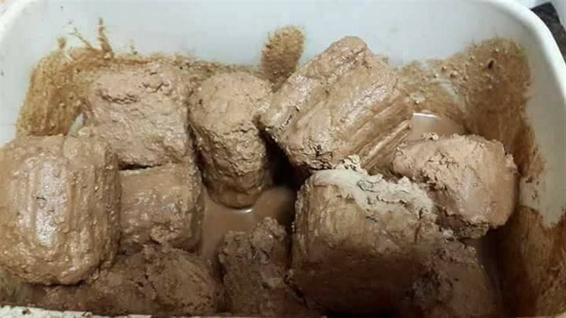 الجبنة القديمة، فيتو