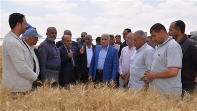 السكرتير العام لمحافظة الإسماعيلية يشهد افتتاح موسم حصاد القمح (صور) 